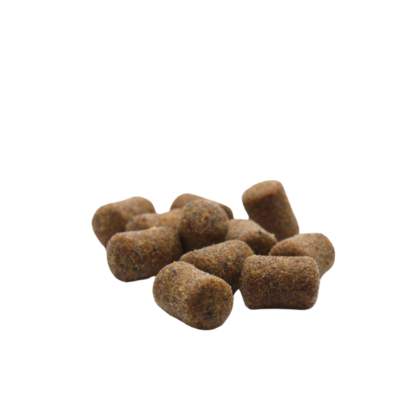 FEEDER BAIT CZINKERS - CZINKERS OSZUST AQUA 25ml - obrazek 4