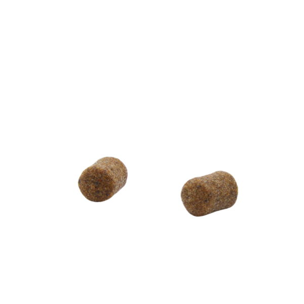 FEEDER BAIT CZINKERS - OSZUST SPICE MEAT 25ml - obrazek 6