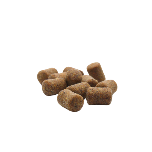 FEEDER BAIT CZINKERS - OSZUST SPICE MEAT 25ml - obrazek 7