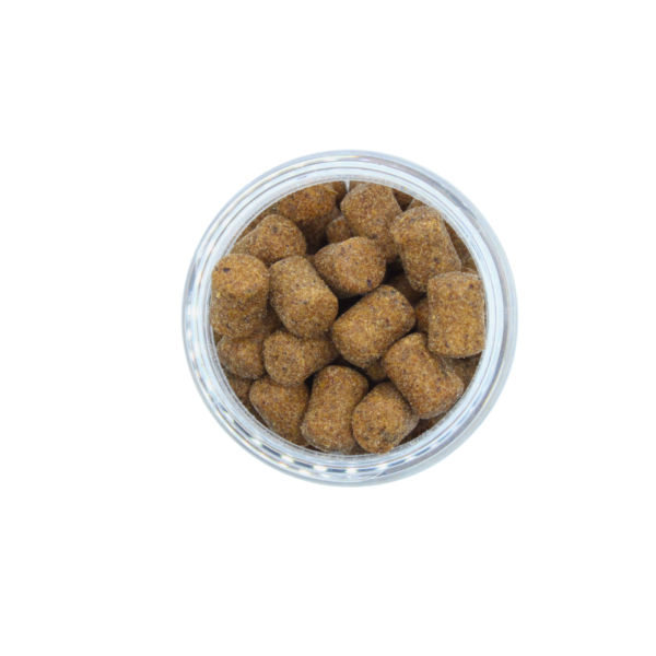 FEEDER BAIT CZINKERS - OSZUST SPICE MEAT 25ml - obrazek 8