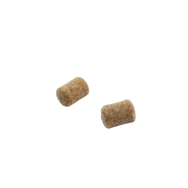 FEEDER BAIT CZINKERS - OSZUST SPICE MEAT 25ml - obrazek 11