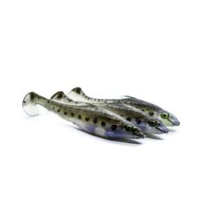 REALFISH KIEŁB 9,5 CM