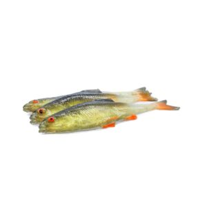 REALFISH WZDRĘGA 8CM JASKÓŁKA