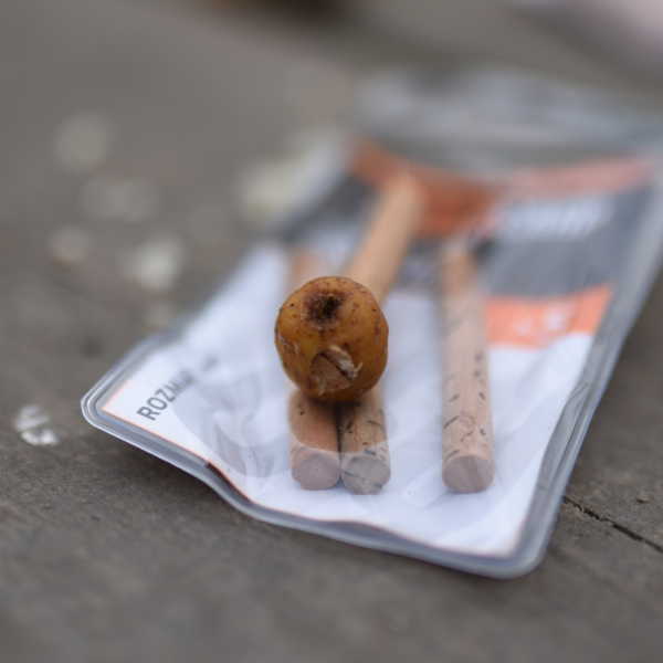 UNDERCARP KOREK DO PRZYNĘT 6MM KULKI ORZECH TYGRYSI PŁYWAJĄCY - obrazek 4