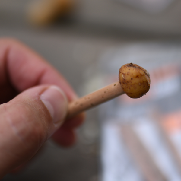 UNDERCARP KOREK DO PRZYNĘT 6MM KULKI ORZECH TYGRYSI PŁYWAJĄCY - obrazek 8