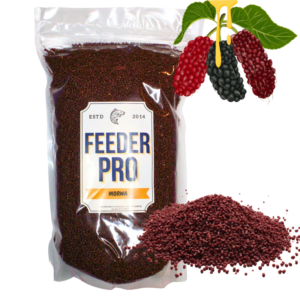 FEEDER PRO MORWA 2MM PELLET ZANĘTOWY METHOD FEEDER