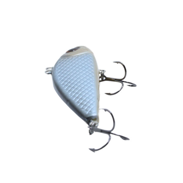 WOBLER CYKADA 9CM 25G SILVER - obrazek 5