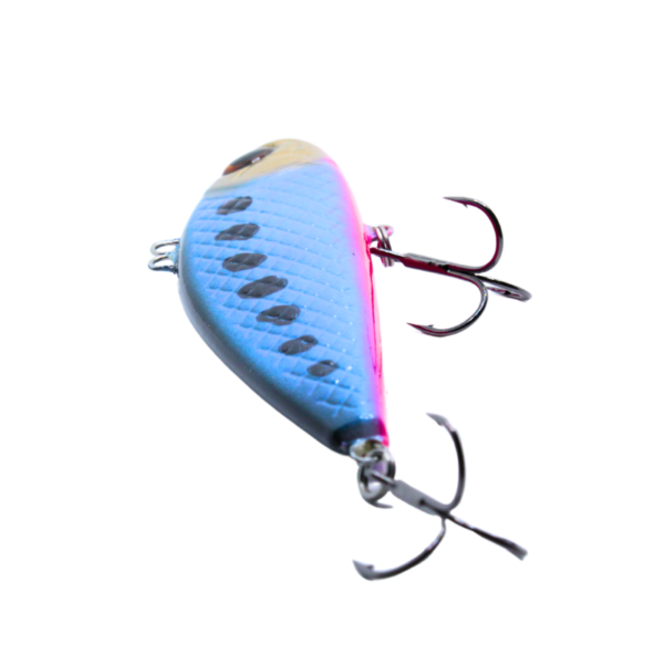 WOBLER CYKADA 9CM 25G RAINBOW - obrazek 4