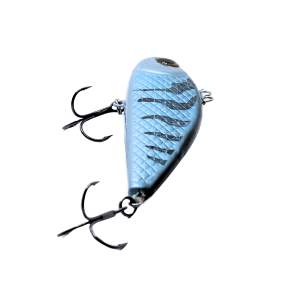 WOBLER CYKADA 9CM 25G BLUE TIGER - obrazek 6