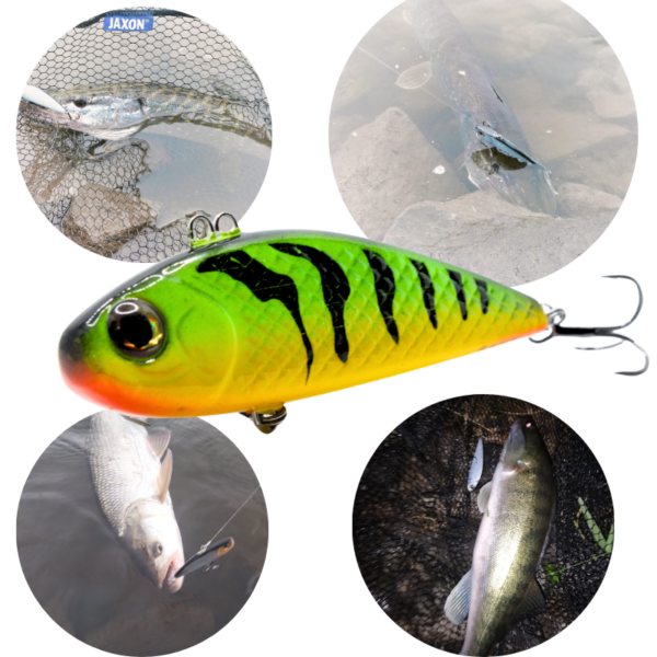 WOBLER CYKADA 9CM 25G FIRE TIGER - obrazek 2