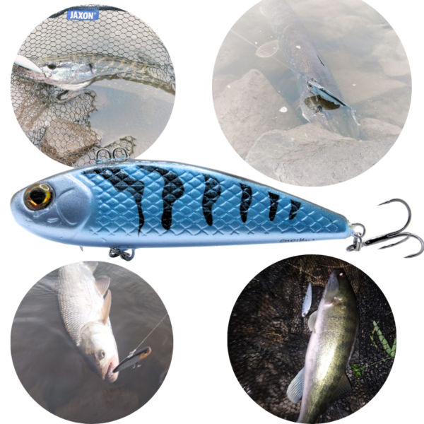 WOBLER CYKADA 9CM 25G BLUE TIGER - obrazek 2