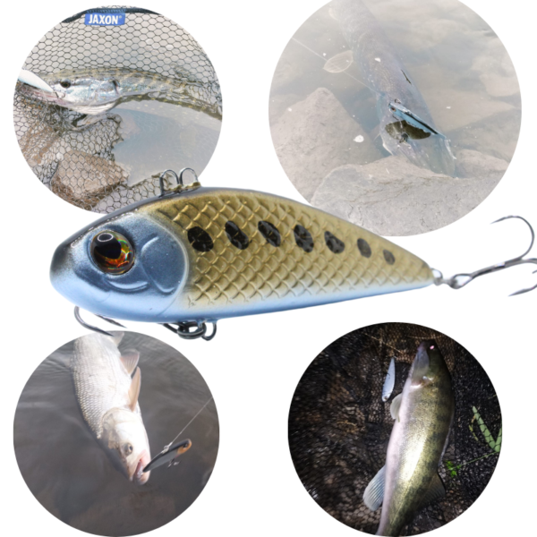 WOBLER CYKADA 9CM 25G GOLD - obrazek 2