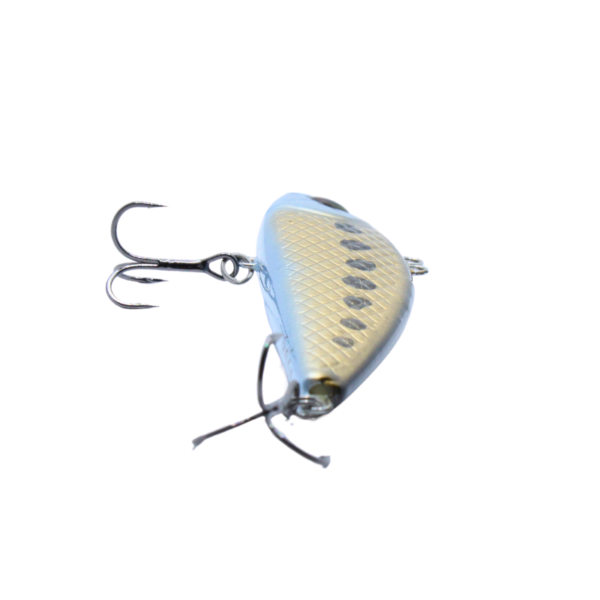 WOBLER CYKADA 9CM 25G GOLD - obrazek 5