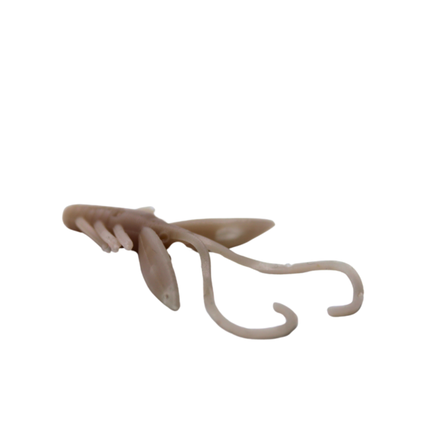 FINESSE BAIT NYMPH 40MM BEŻOWY 011 - obrazek 4