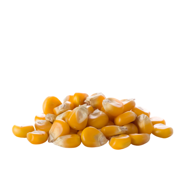 CARP FOOD KUKURYDZA 1KG SCOPEX - obrazek 5