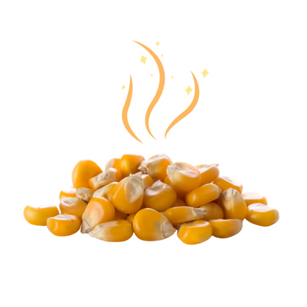 CARP FOOD KUKURYDZA 1KG SCOPEX - obrazek 4